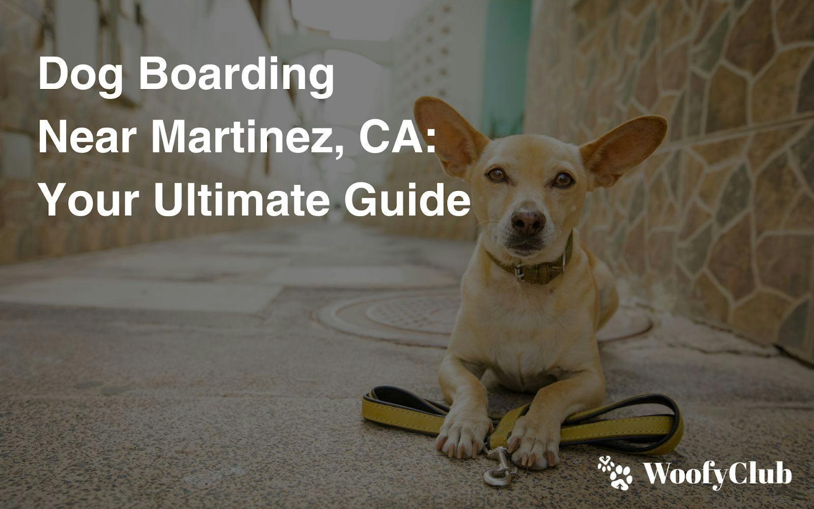 Dog Boarding Near Martinez, CA: Your Ultimate Guide