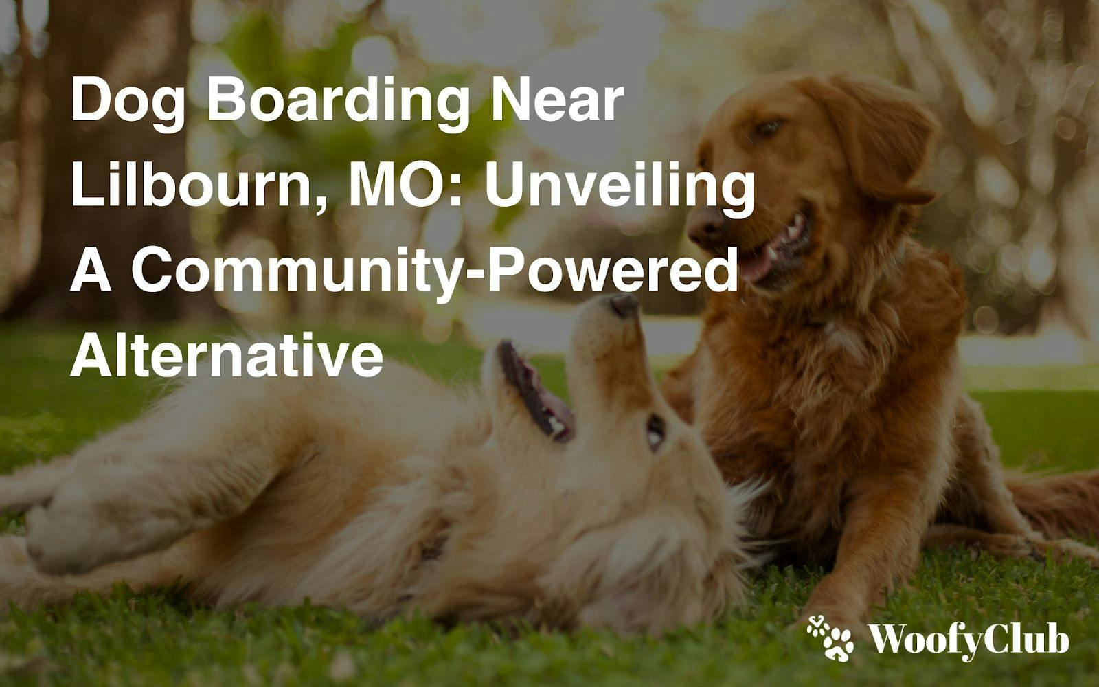 Dog Boarding Near Lilbourn, MO: Unveiling A Community-Powered Alternative