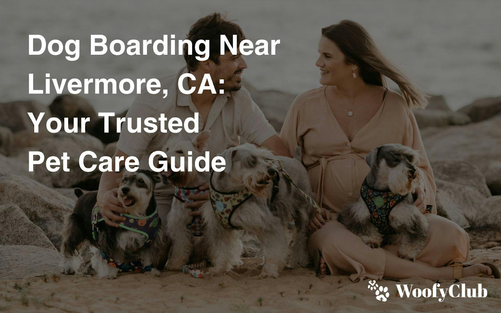 Dog Boarding Near Livermore, CA: Your Trusted Pet Care Guide