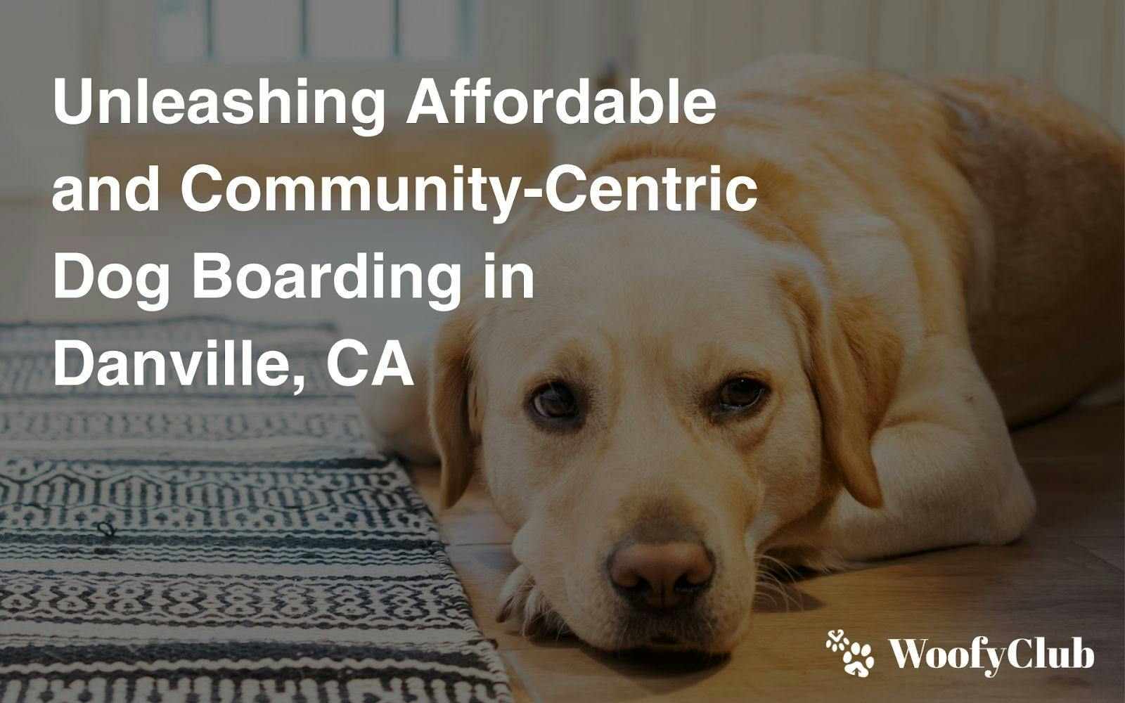 Unleashing Affordable And Community-Centric Dog Boarding In Danville, CA