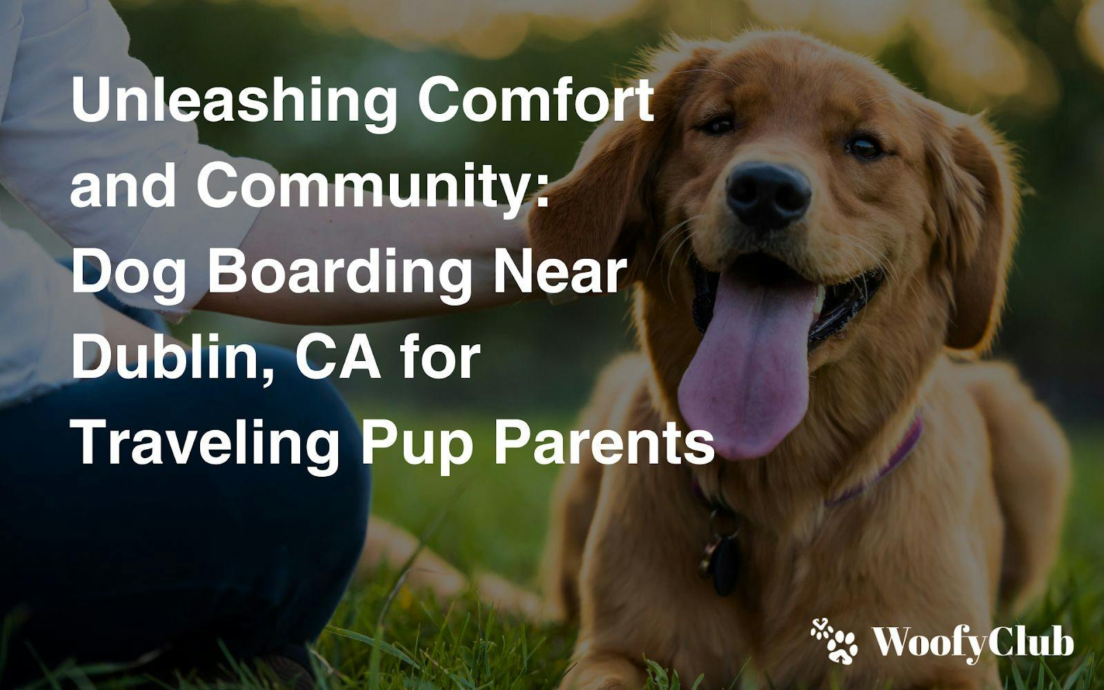 Unleashing Comfort And Community: Dog Boarding Near Dublin, CA For Traveling Pup Parents