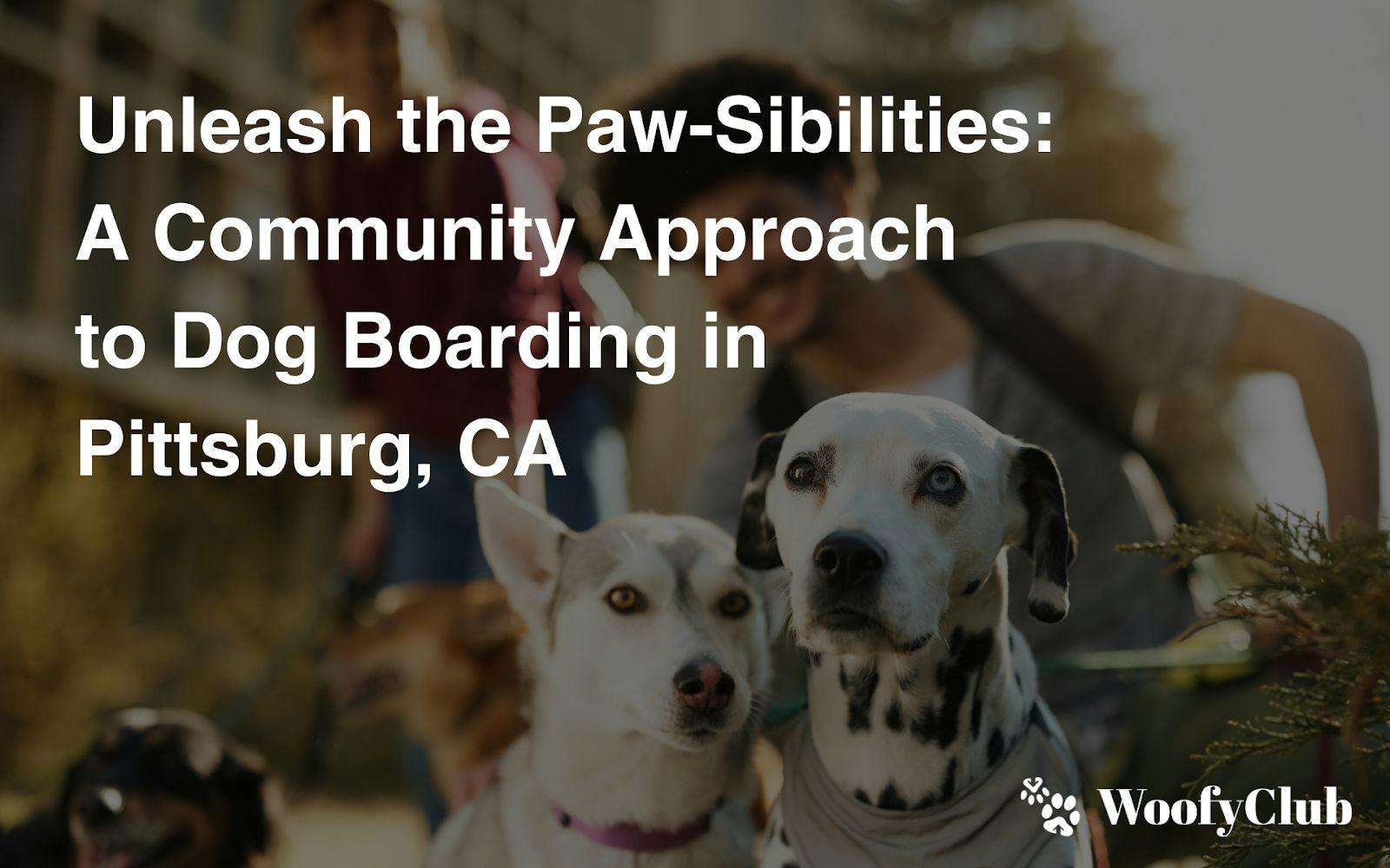 Unleash The Paw-Sibilities: A Community Approach To Dog Boarding In Pittsburg, CA