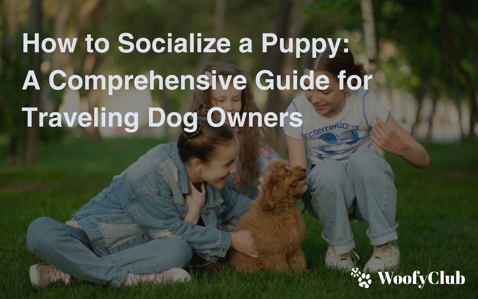 How To Socialize A Puppy: A Comprehensive Guide For Traveling Dog Owners