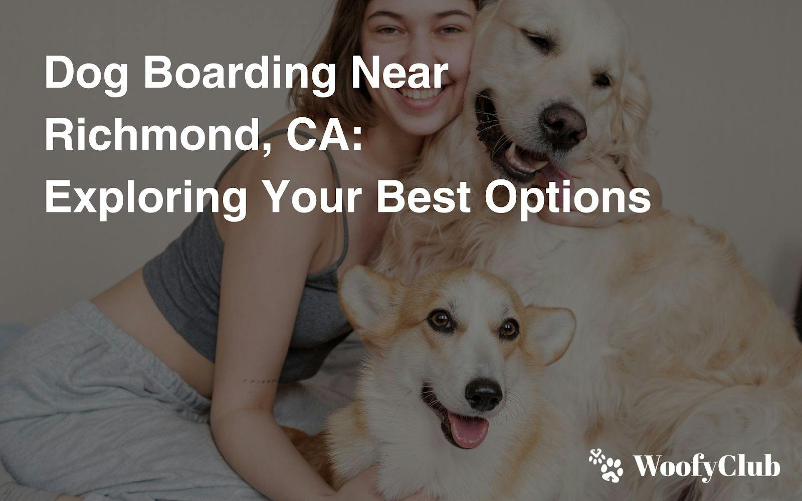Dog Boarding Near Richmond, CA: Exploring Your Best Options