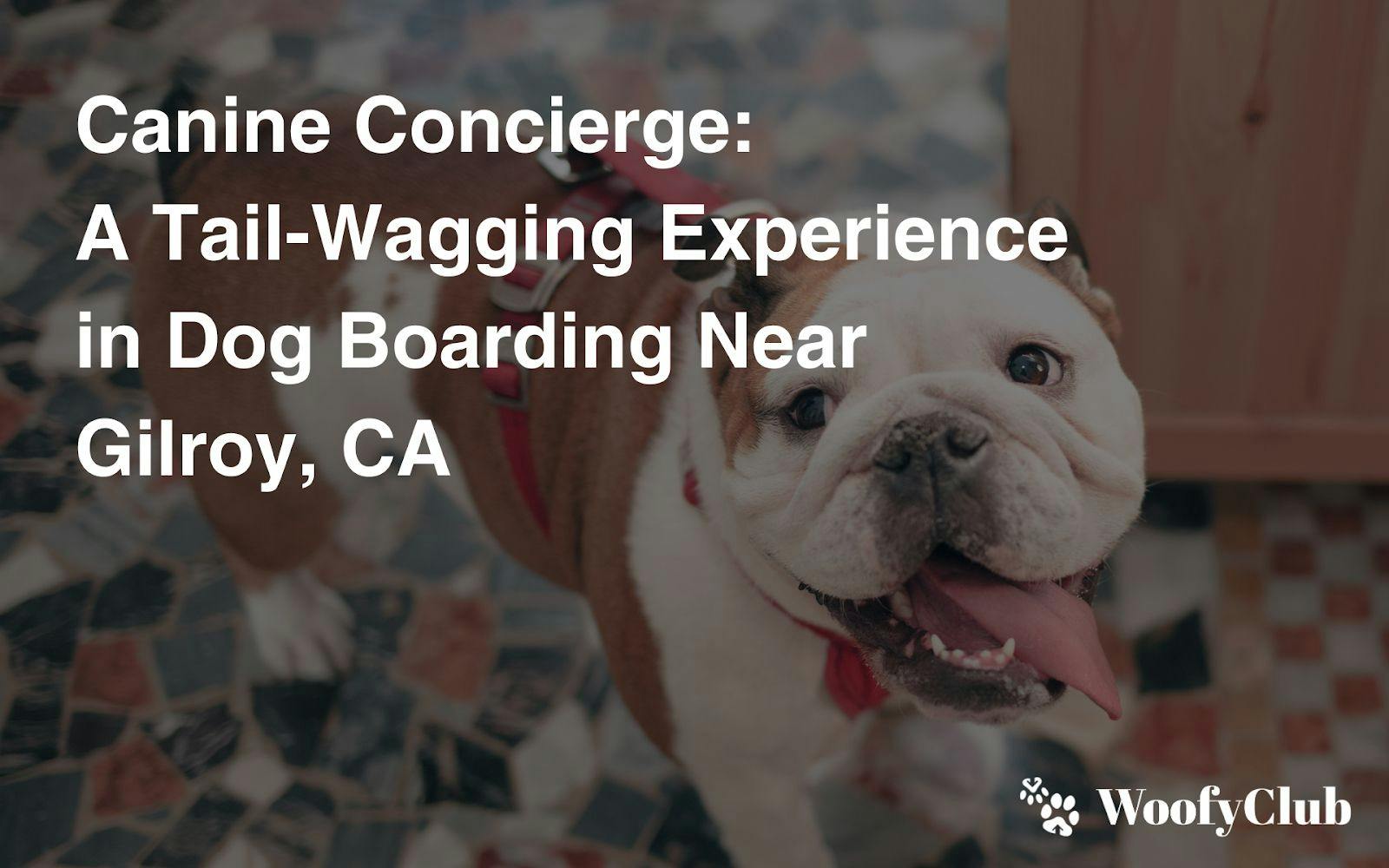Canine Concierge: A Tail-Wagging Experience In Dog Boarding Near Gilroy, CA