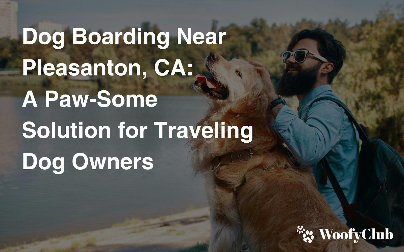 Dog Boarding Near Pleasanton, CA: A Paw-Some Solution For Traveling Dog Owners