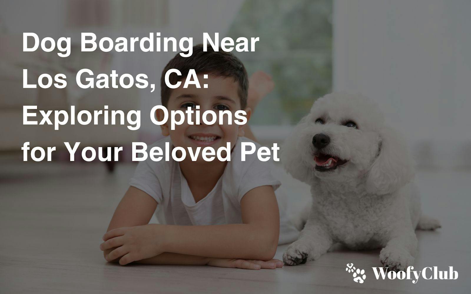 Dog Boarding Near Los Gatos, CA: Exploring Options For Your Beloved Pet