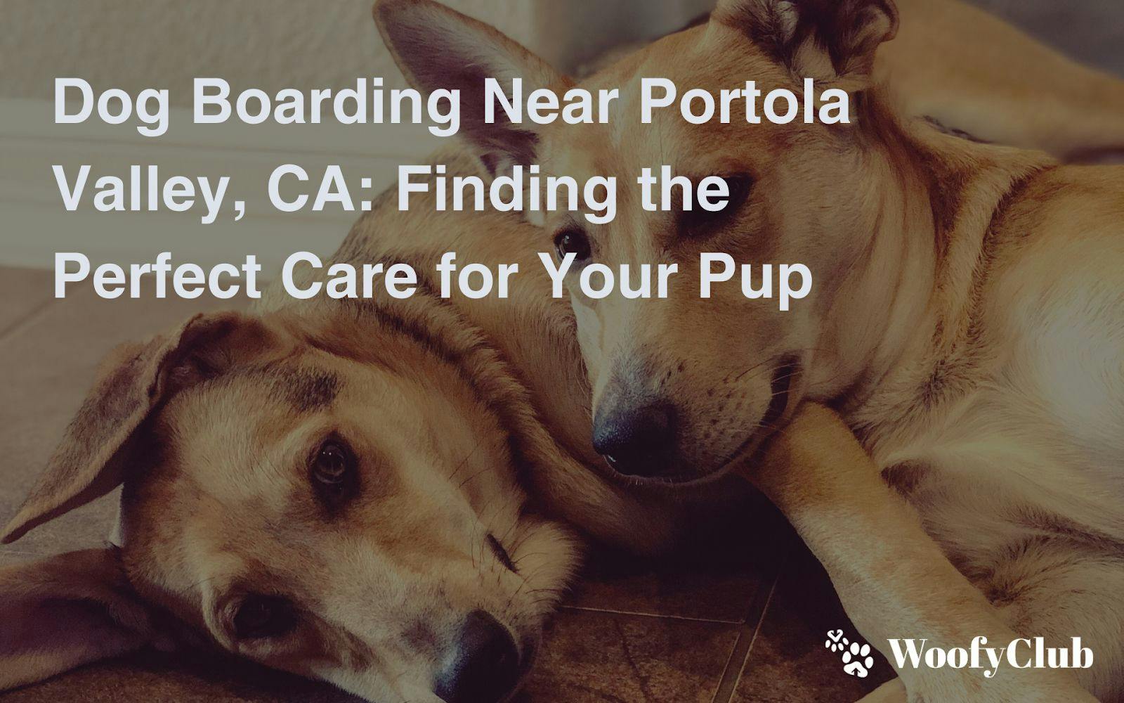 Dog Boarding Near Portola Valley, CA: Finding The Perfect Care For Your Pup