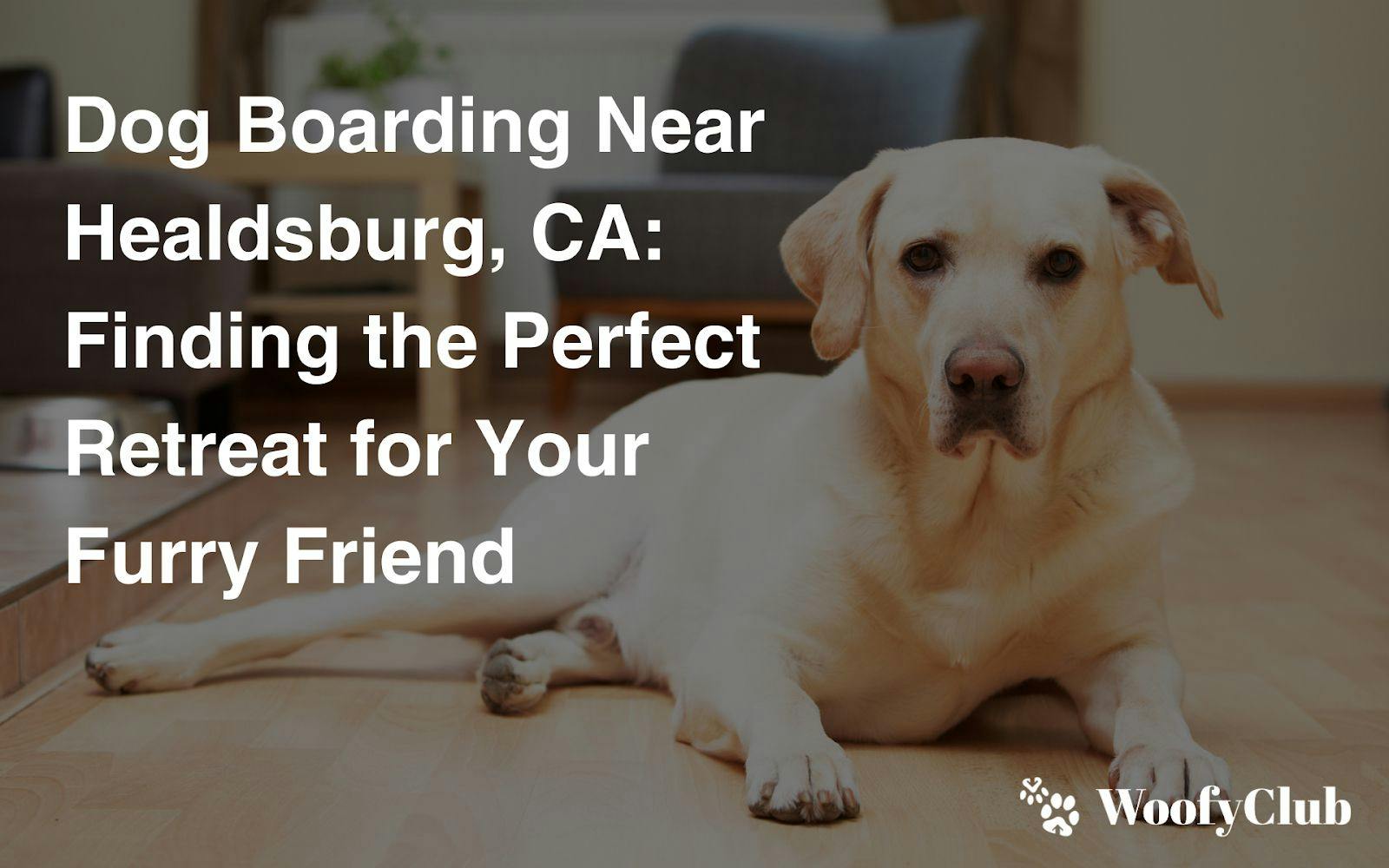 Dog Boarding Near Healdsburg, CA: Finding The Perfect Retreat For Your Furry Friend