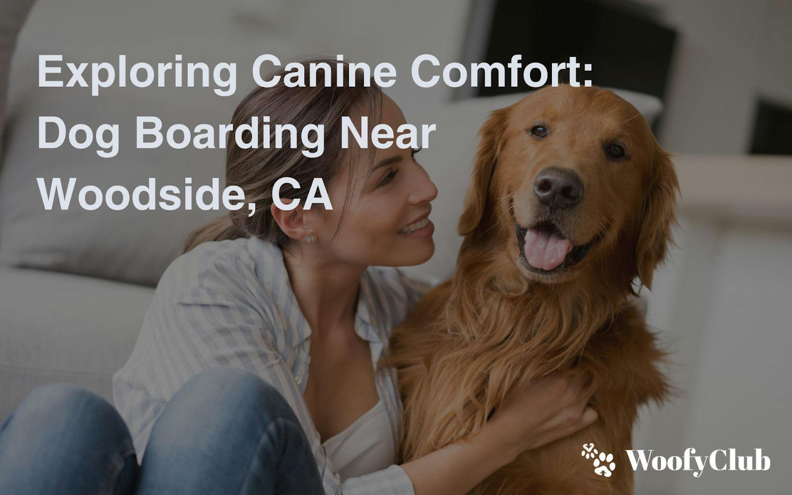Exploring Canine Comfort: Dog Boarding Near Woodside, CA