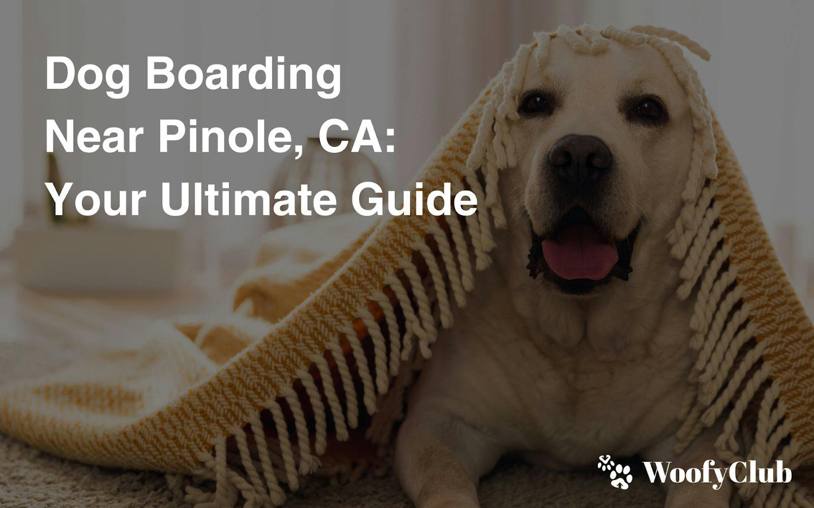 Dog Boarding Near Pinole, CA: Your Ultimate Guide