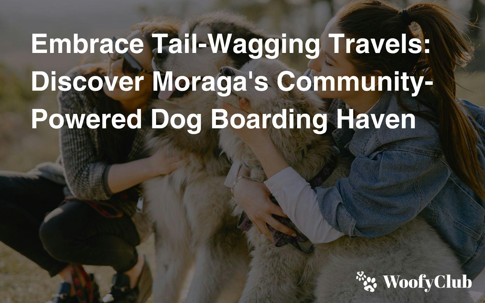 Embrace Tail-Wagging Travels: Discover Moraga's Community-Powered Dog Boarding Haven