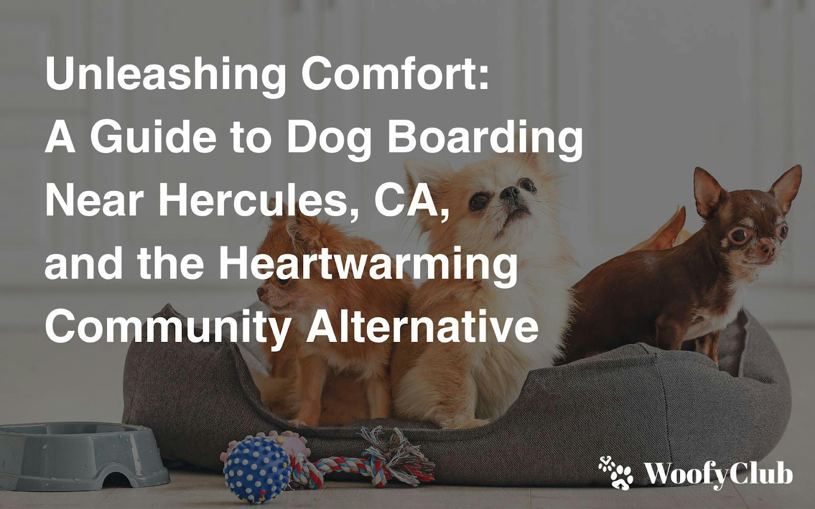 Unleashing Comfort: A Guide To Dog Boarding Near Hercules, CA, And The Heartwarming Community Alternative