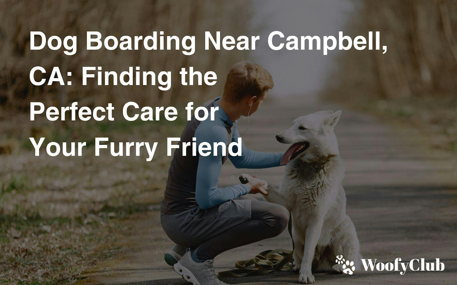 Dog Boarding Near Campbell, CA: Finding The Perfect Care For Your Furry Friend