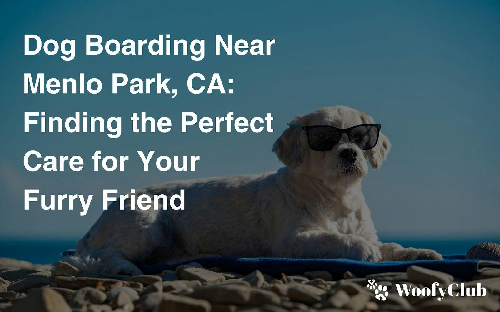 Dog Boarding Near Menlo Park, CA: Finding The Perfect Care For Your Furry Friend