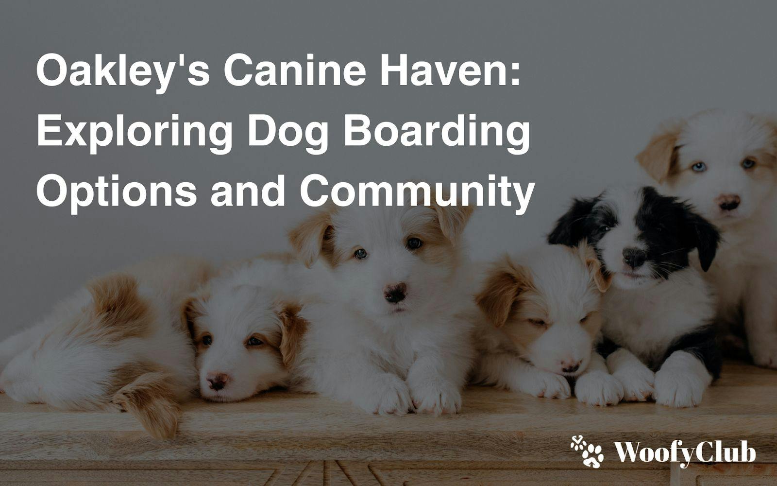 Oakley's Canine Haven: Exploring Dog Boarding Options And Community
