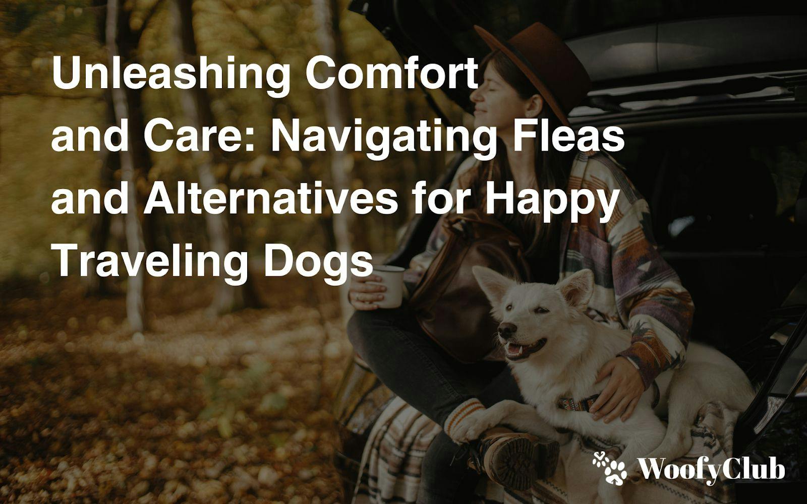 Unleashing Comfort And Care: Navigating Fleas And Alternatives For Happy Traveling Dogs