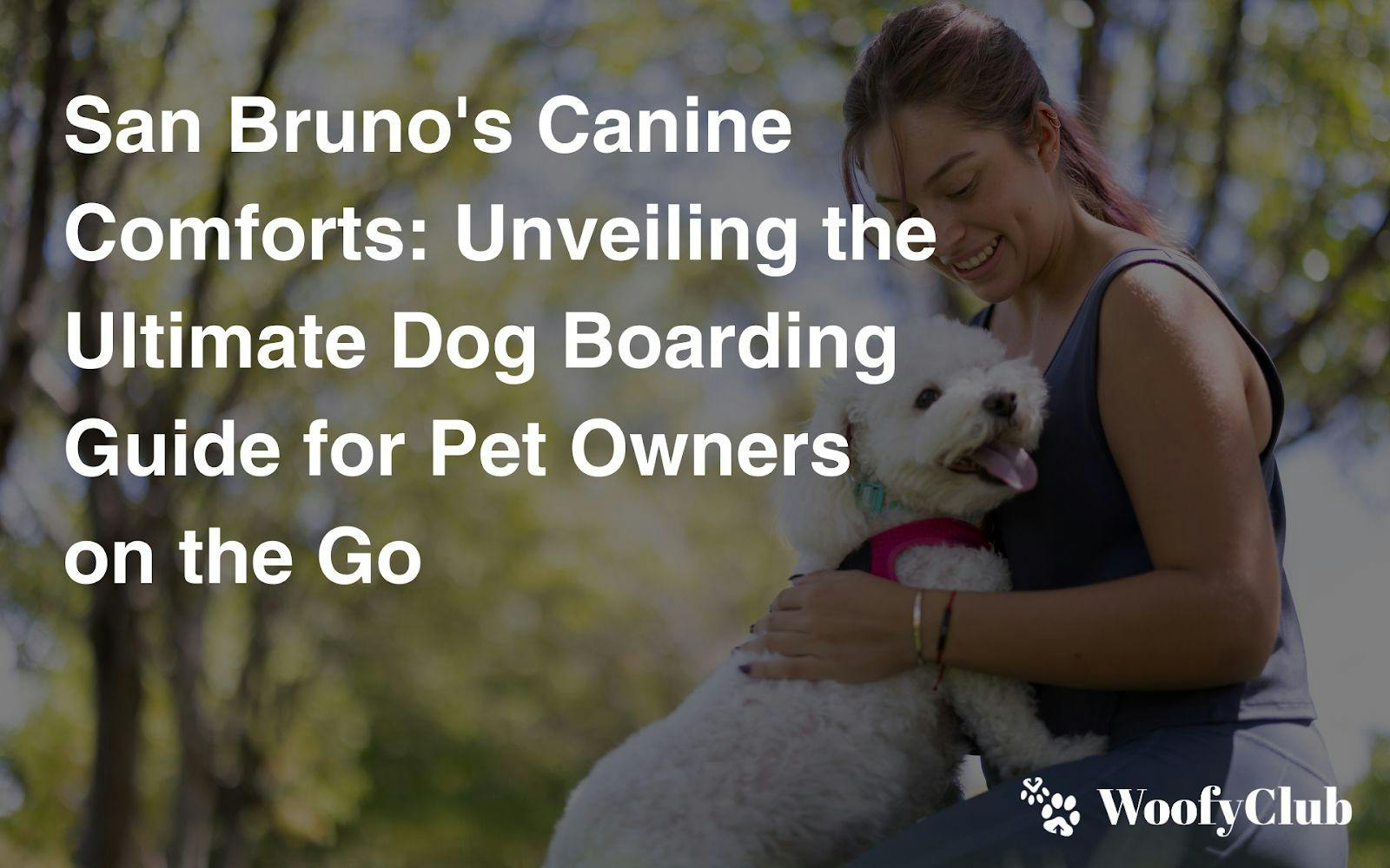 San Bruno's Canine Comforts: Unveiling The Ultimate Dog Boarding Guide For Pet Owners On The Go