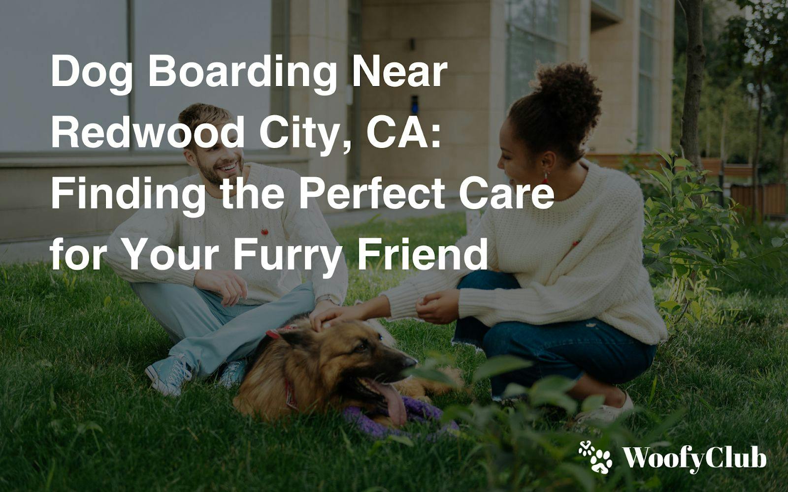 Dog Boarding Near Redwood City, CA: Finding The Perfect Care For Your Furry Friend