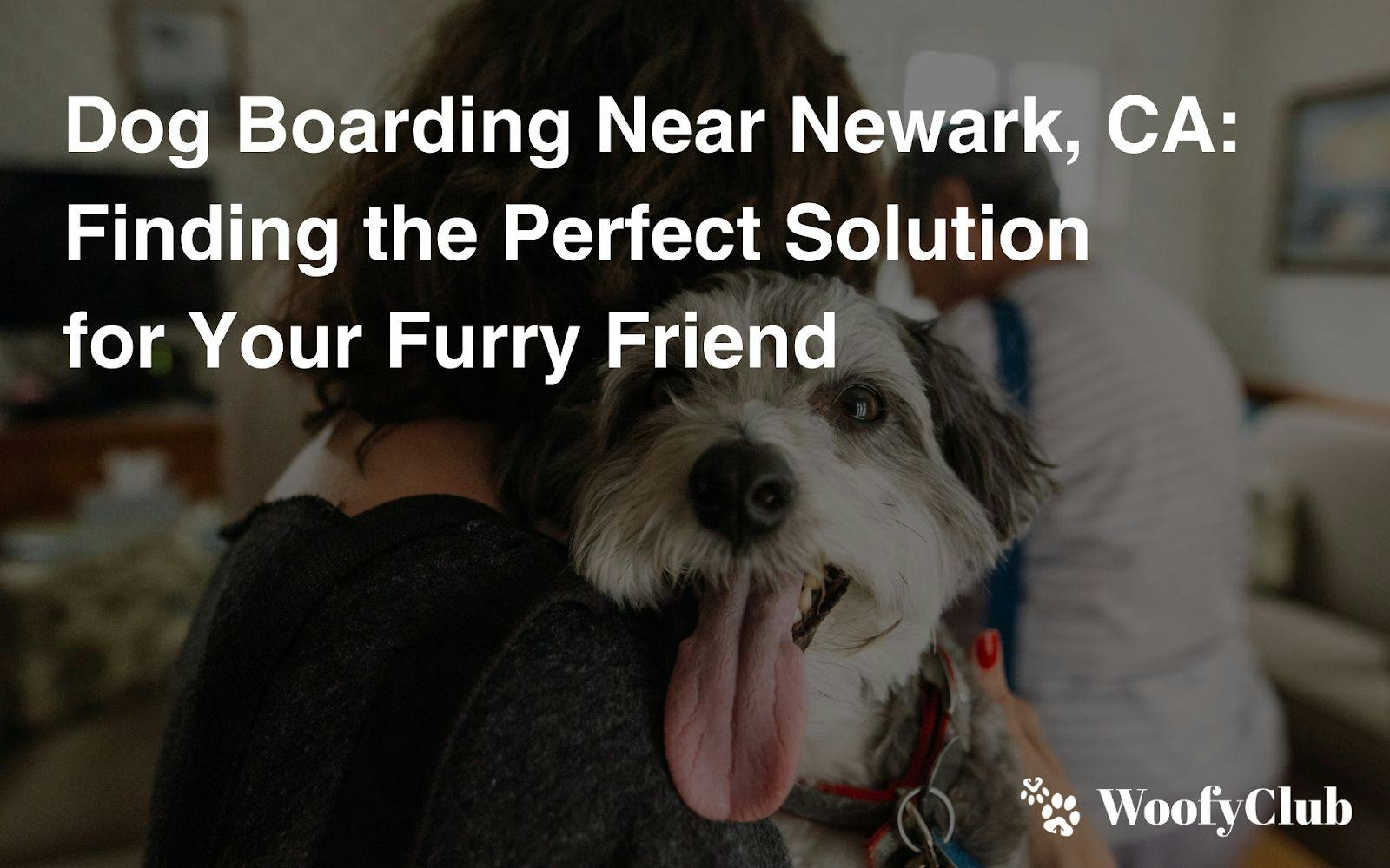Dog Boarding Near Newark, CA: Finding The Perfect Solution For Your Furry Friend