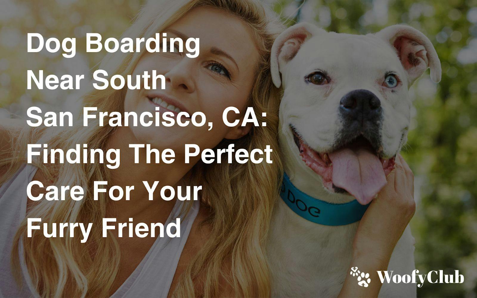 Dog Boarding Near South San Francisco, CA: Finding The Perfect Care For Your Furry Friend