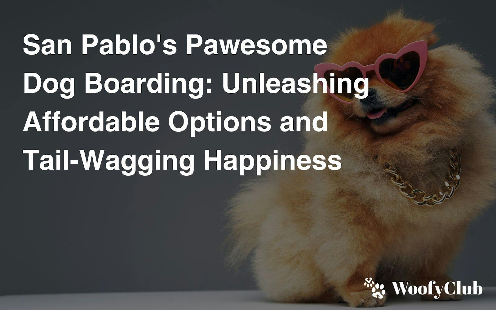 San Pablo's Pawesome Dog Boarding: Unleashing Affordable Options And Tail-Wagging Happiness