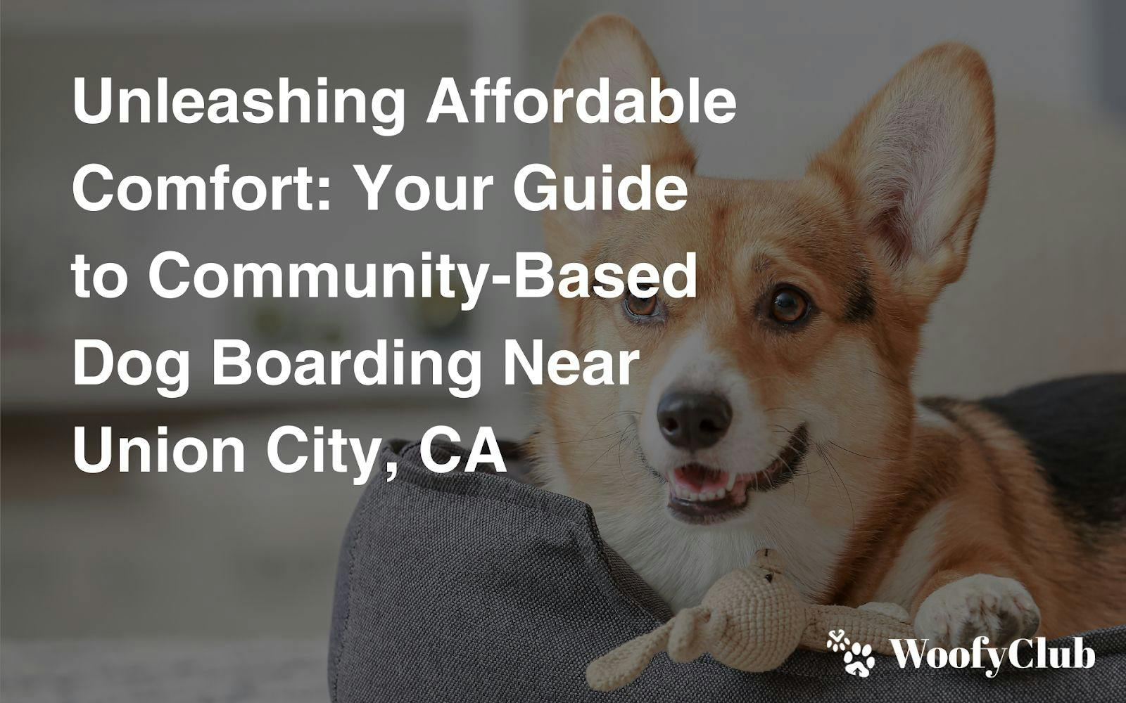 Unleashing Affordable Comfort: Your Guide To Community-Based Dog Boarding Near Union City, CA