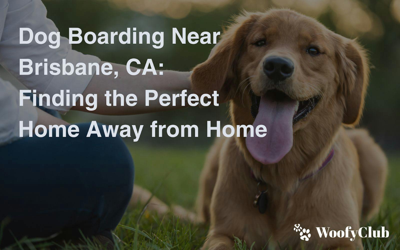 Dog Boarding Near Brisbane, CA: Finding The Perfect Home Away From Home