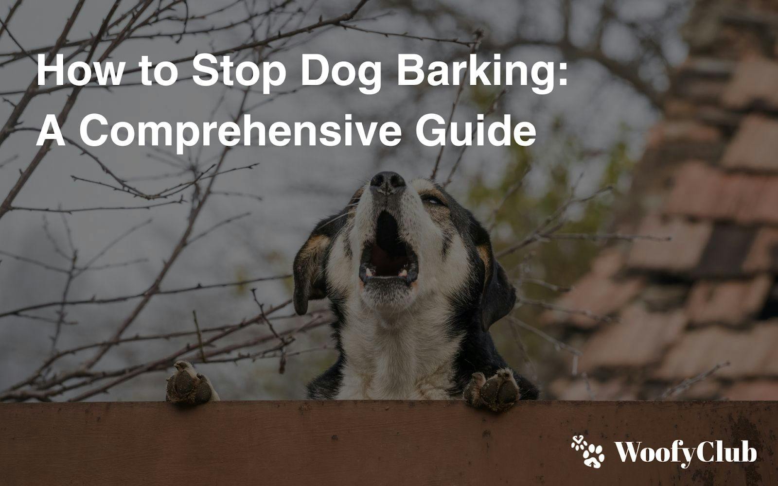 How To Stop Dog Barking: A Comprehensive Guide