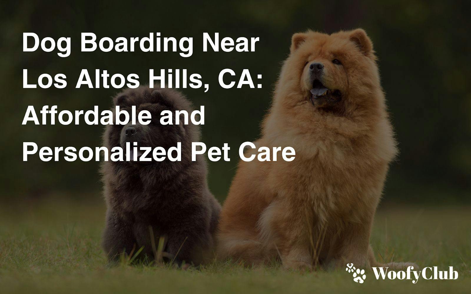 Dog Boarding Near Los Altos Hills, CA: Affordable And Personalized Pet Care