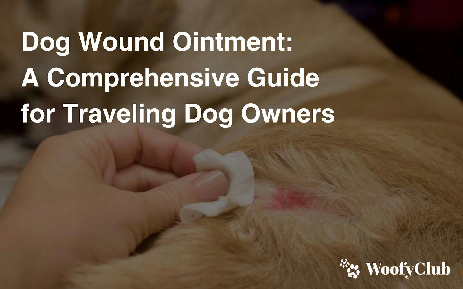 Dog Wound Ointment: A Comprehensive Guide For Traveling Dog Owners