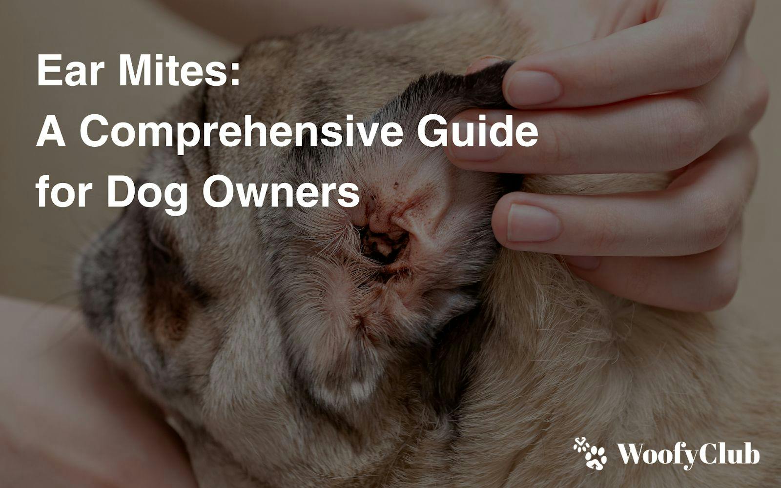 Ear Mites: A Comprehensive Guide For Dog Owners