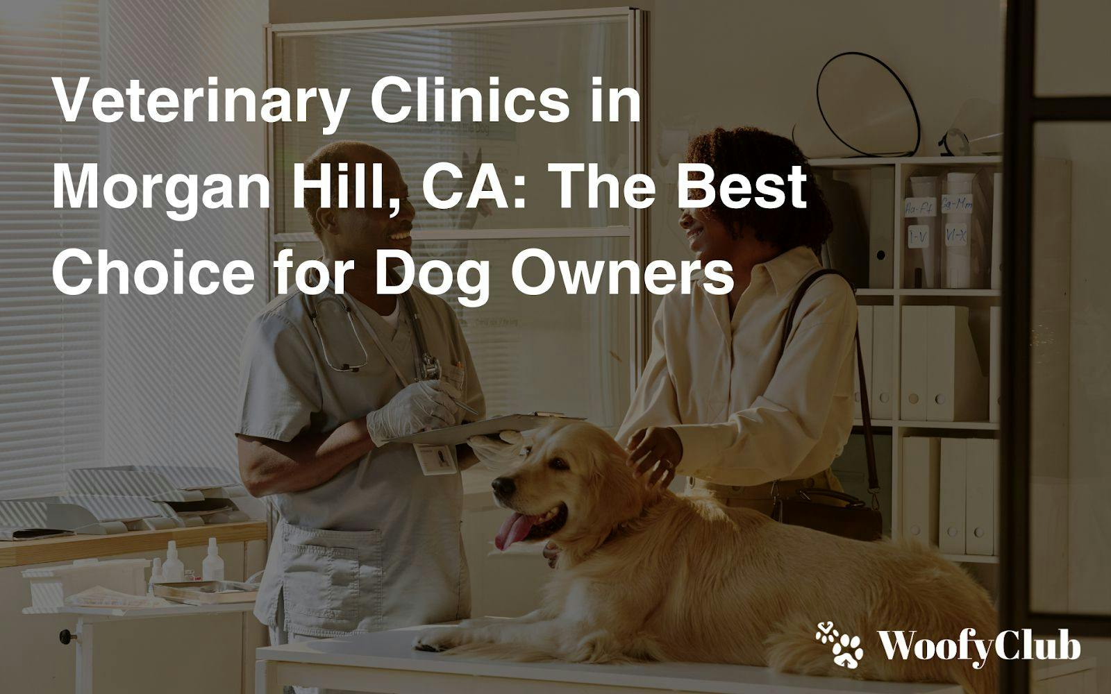 Veterinary Clinics In Morgan Hill, CA: The Best Choice For Dog Owners