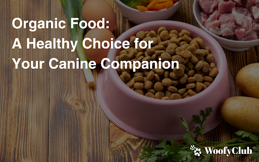 Organic Food: A Healthy Choice For Your Canine Companion