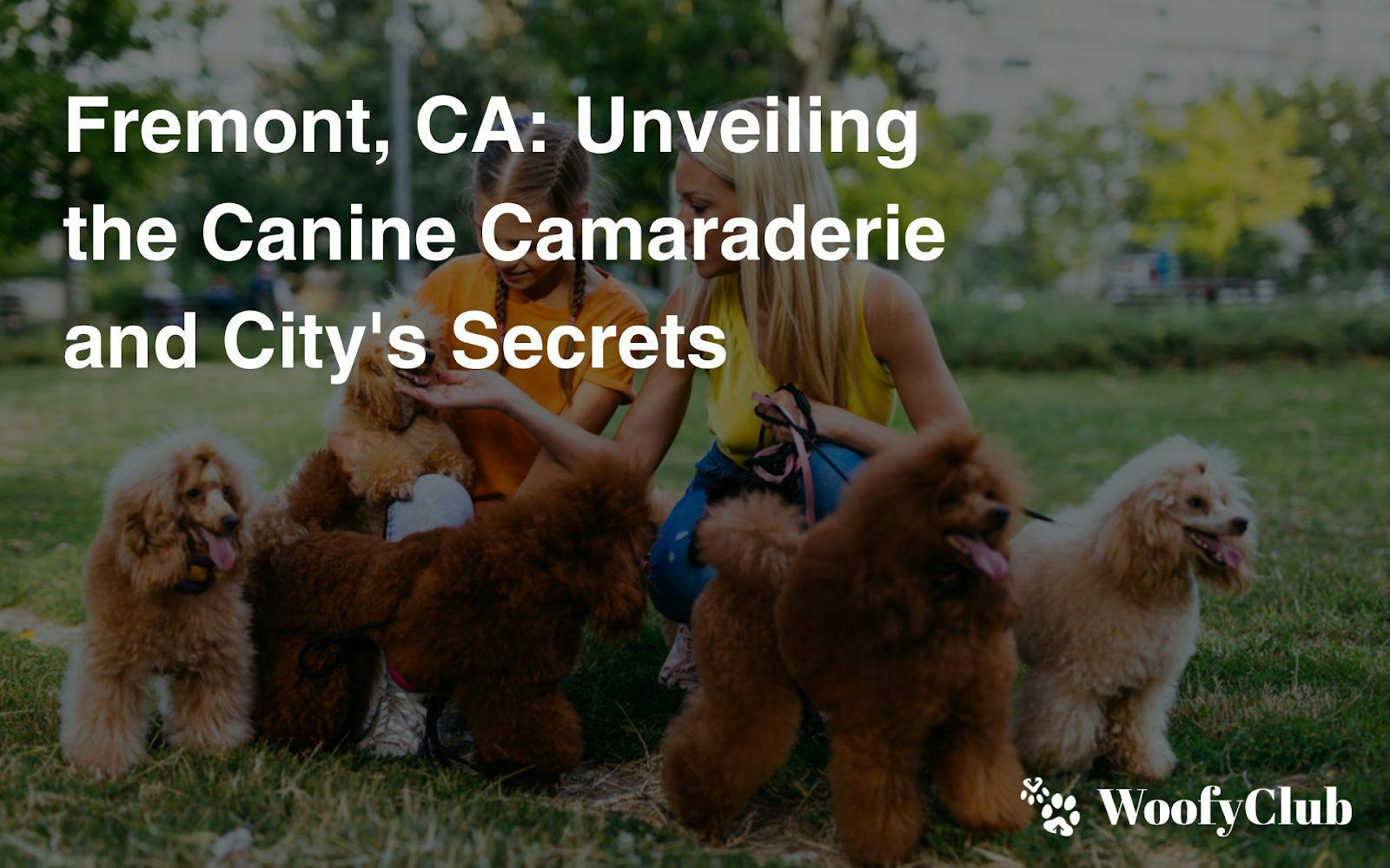 Fremont, CA: Unveiling The Canine Camaraderie And City's Secrets