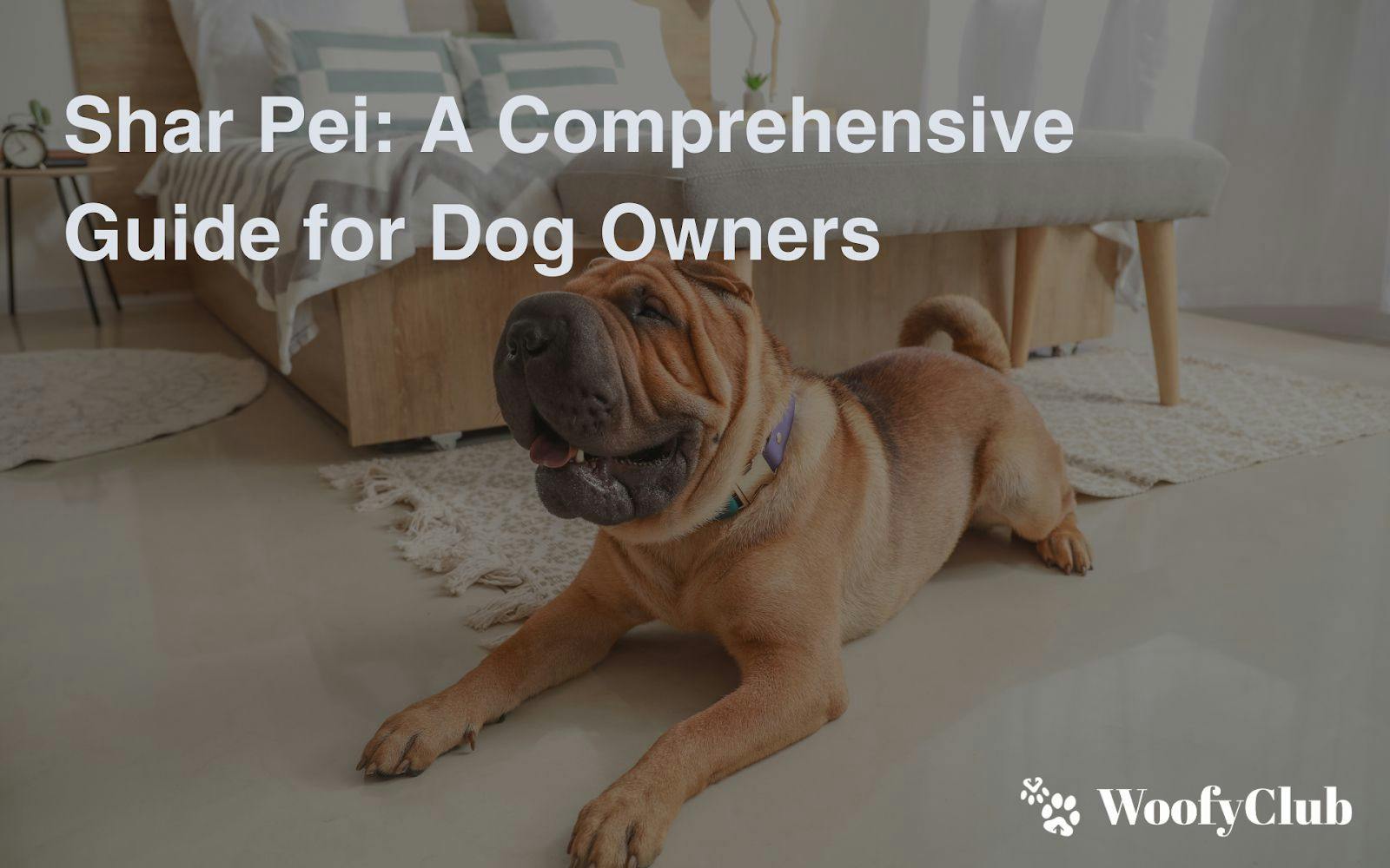 Shar Pei: A Comprehensive Guide For Dog Owners