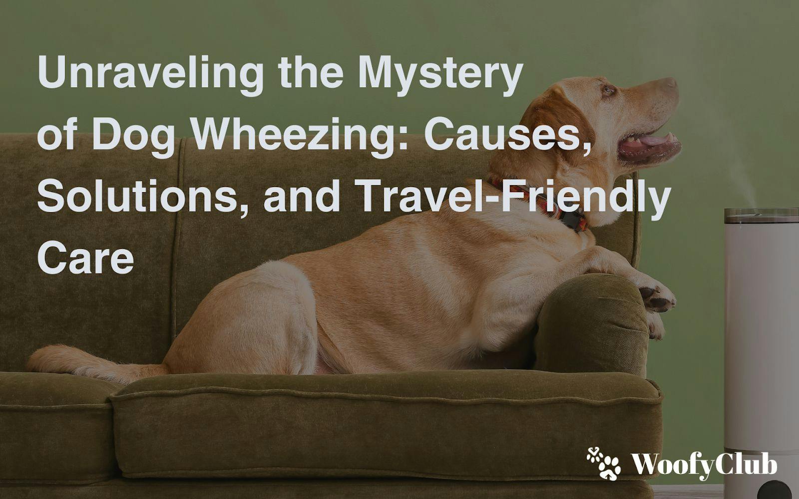 Unraveling The Mystery Of Dog Wheezing: Causes, Solutions, And Travel-Friendly Care