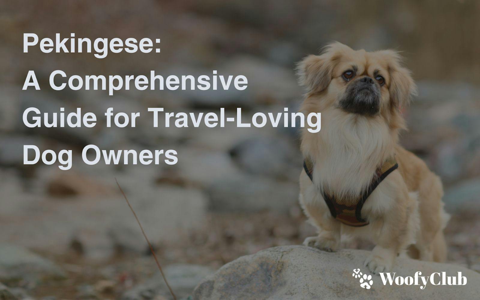 Pekingese: A Comprehensive Guide For Travel-Loving Dog Owners
