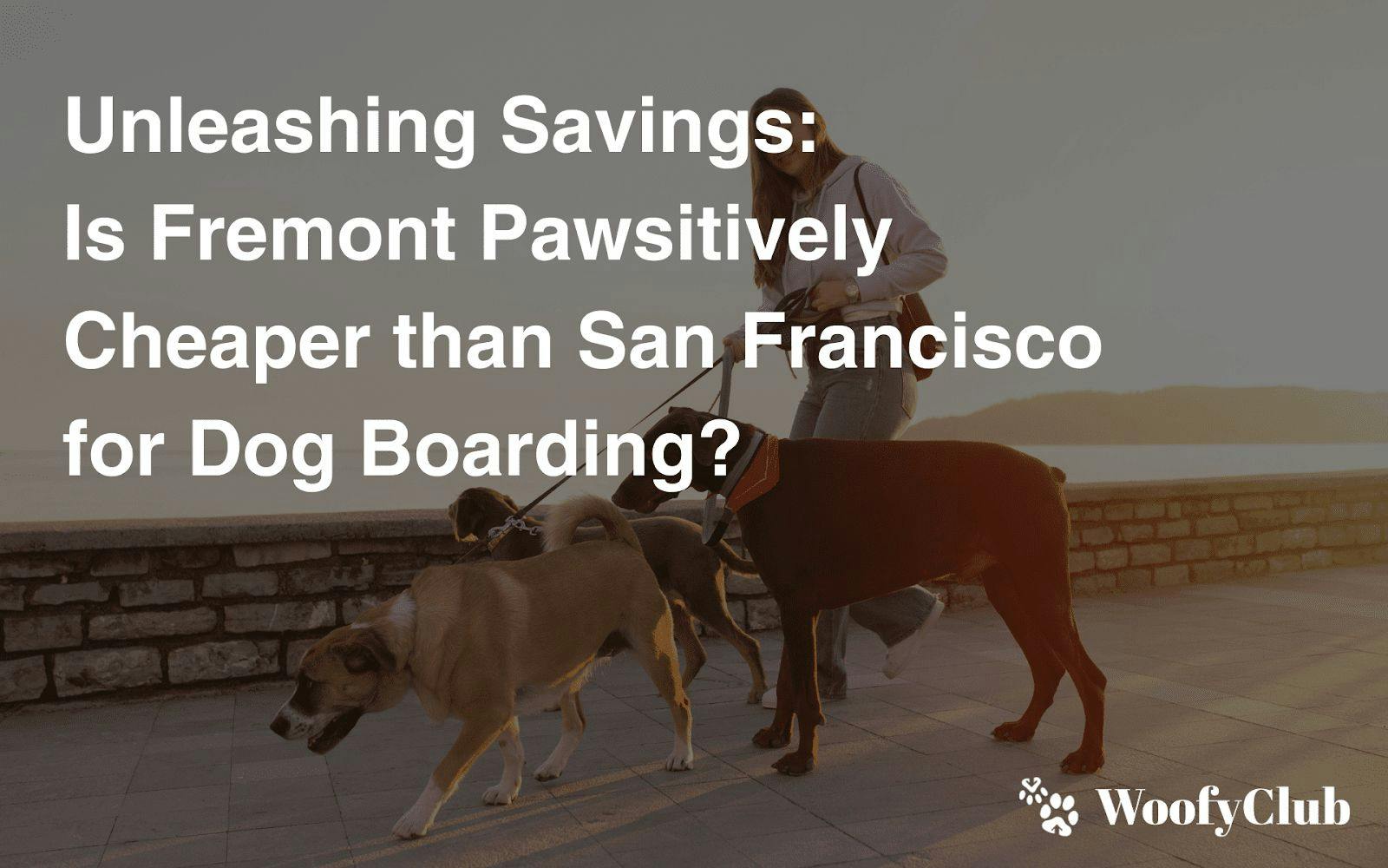 Unleashing Savings: Is Fremont Pawsitively Cheaper Than San Francisco For Dog Boarding?