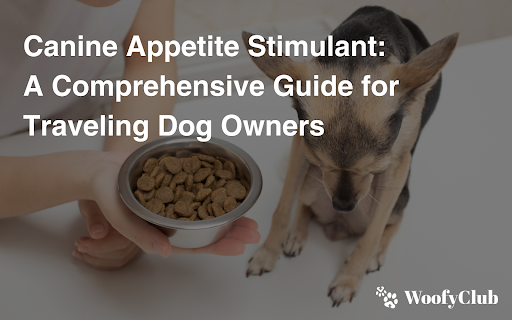 Canine Appetite Stimulant: A Comprehensive Guide For Traveling Dog Owners