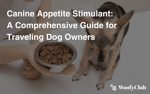 Canine Appetite Stimulant: A Comprehensive Guide For Traveling Dog Owners