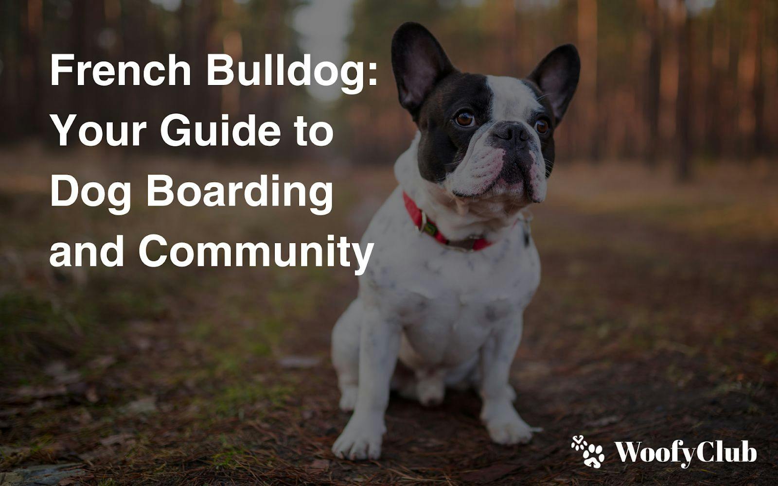 French Bulldog: Your Guide To Dog Boarding And Community