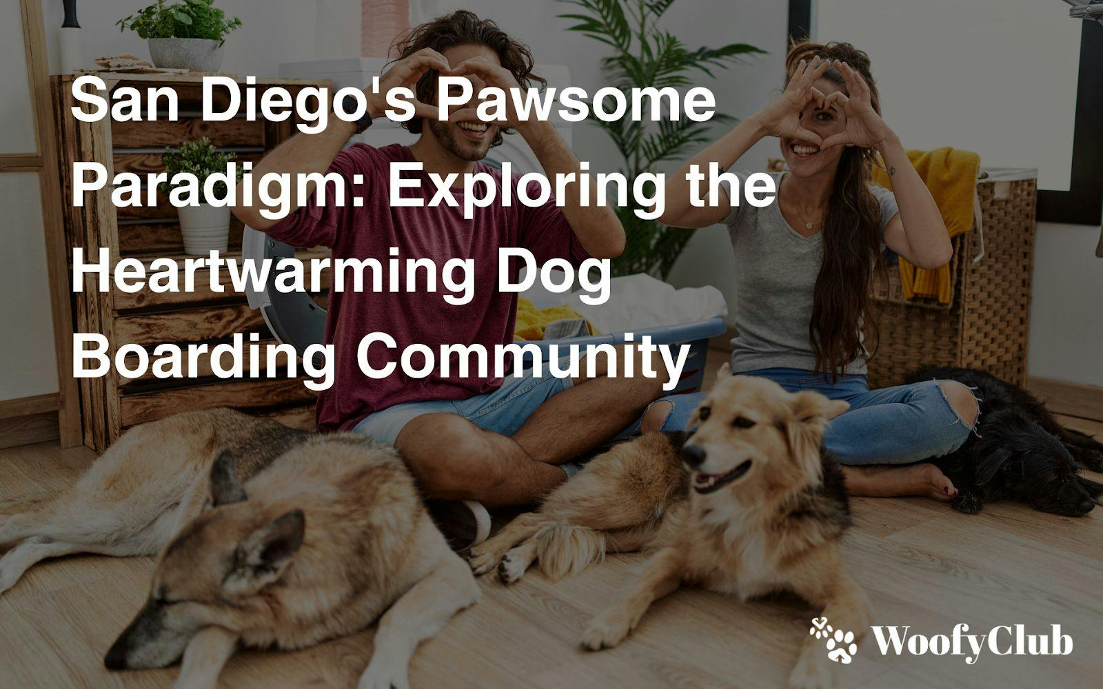 San Diego's Pawsome Paradigm: Exploring The Heartwarming Dog Boarding Community