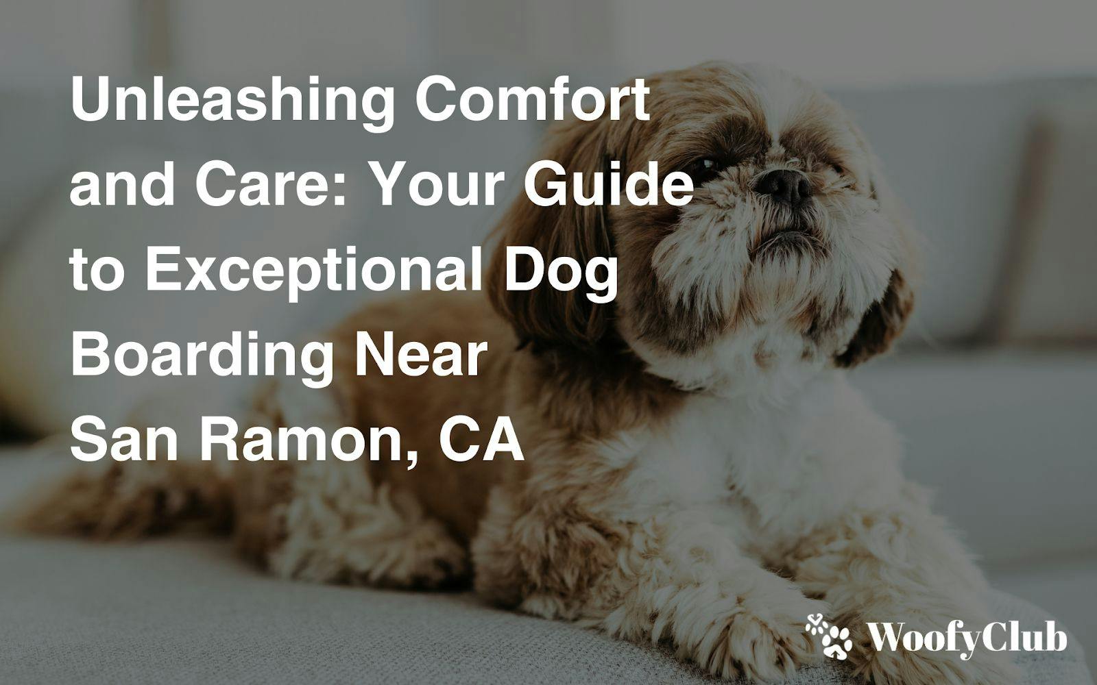 Unleashing Comfort And Care: Your Guide To Exceptional Dog Boarding Near San Ramon, CA