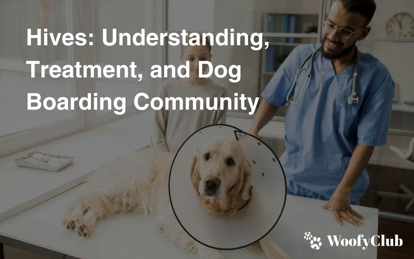 Hives: Understanding, Treatment, And Dog Boarding Community