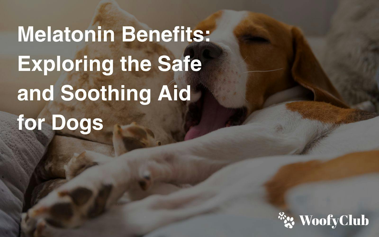 Melatonin Benefits: Exploring The Safe And Soothing Aid For Dogs