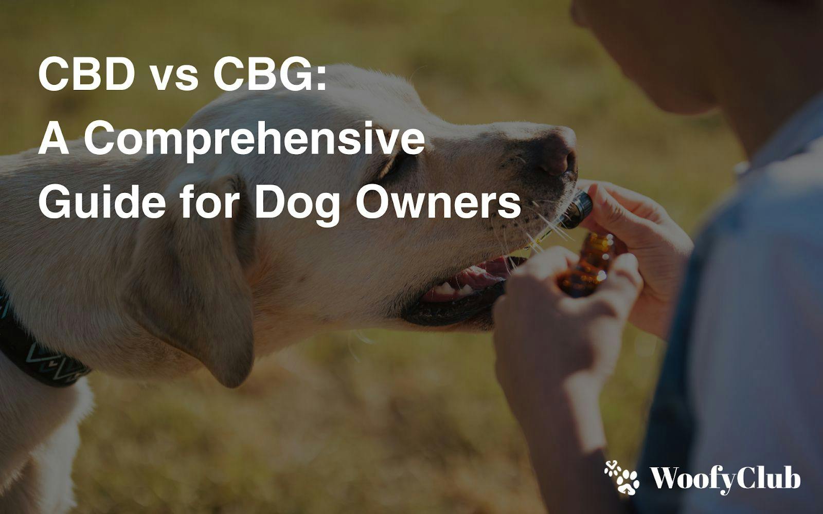 CBD vs CBG: A Comprehensive Guide For Dog Owners