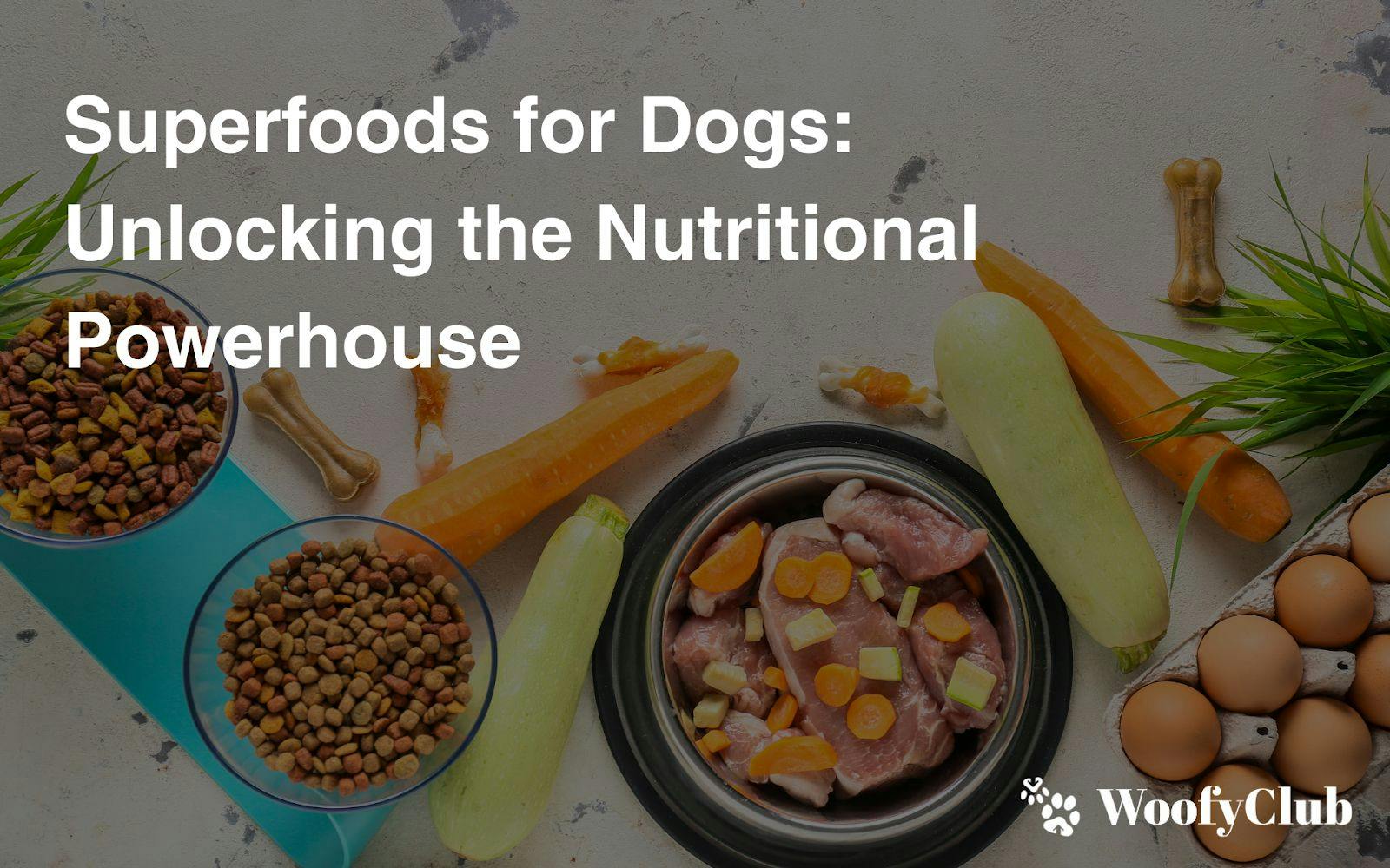 Superfoods For Dogs: Unlocking The Nutritional Powerhouse
