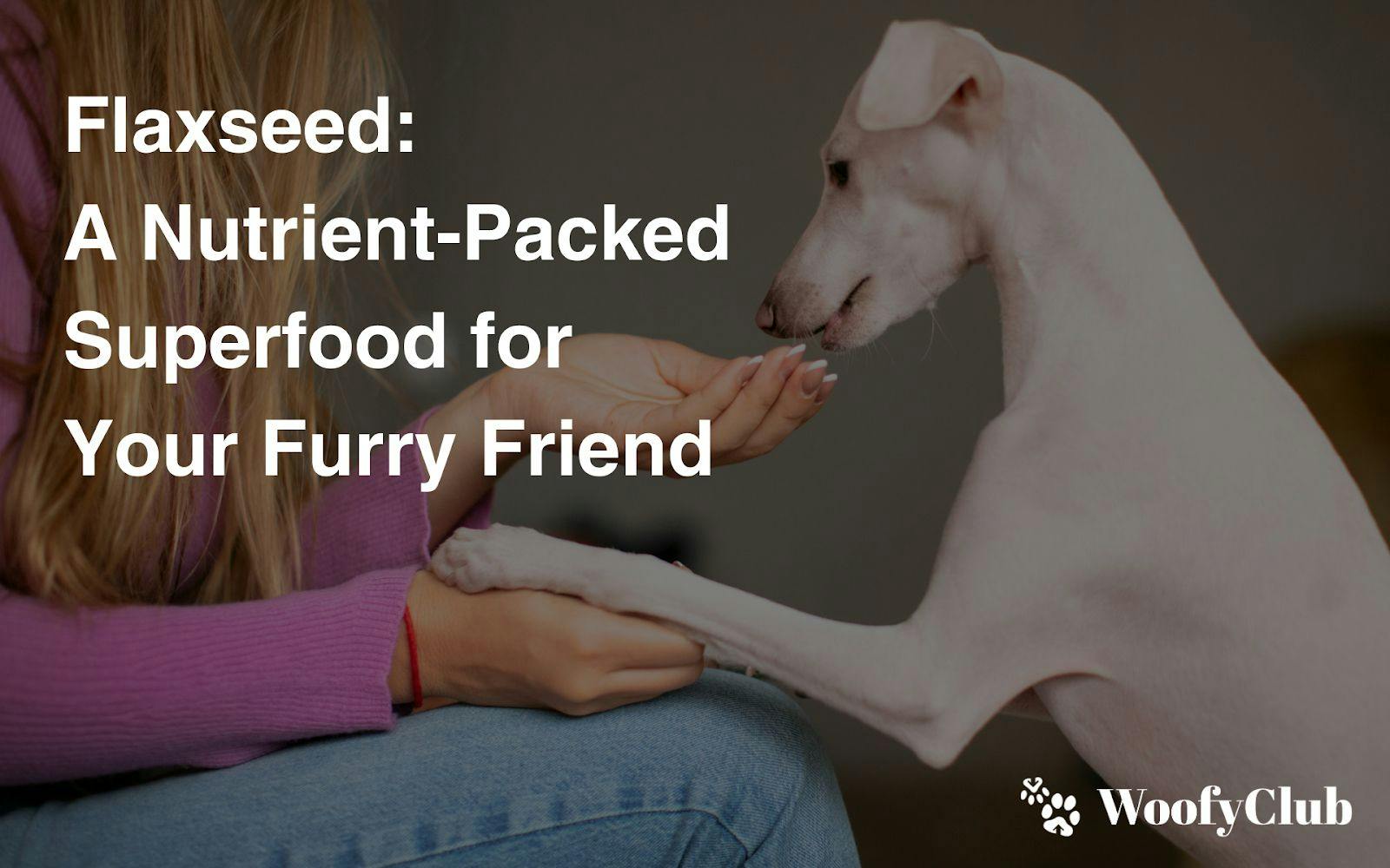 Flaxseed: A Nutrient-Packed Superfood For Your Furry Friend