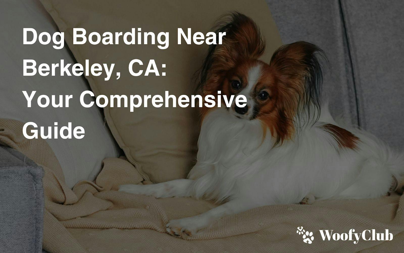 Dog Boarding Near Berkeley, CA: Your Comprehensive Guide